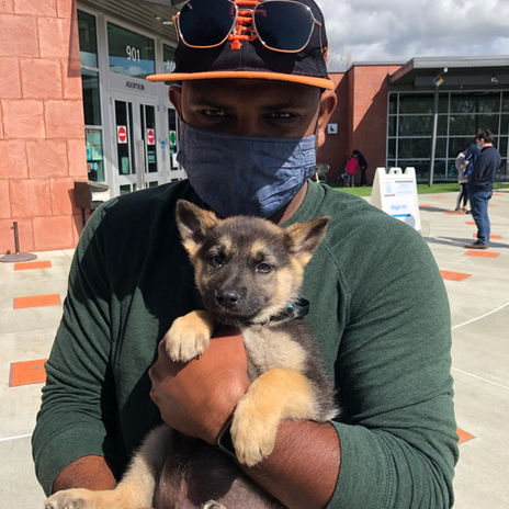 Aloo the German Shepherd - Stage 1